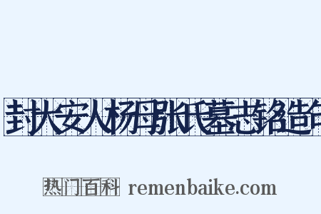 封大安人杨母张氏墓志铭造句是什么意思的图片